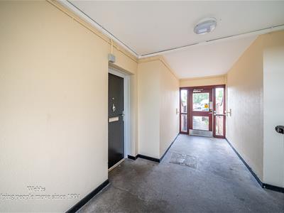 Picture 22